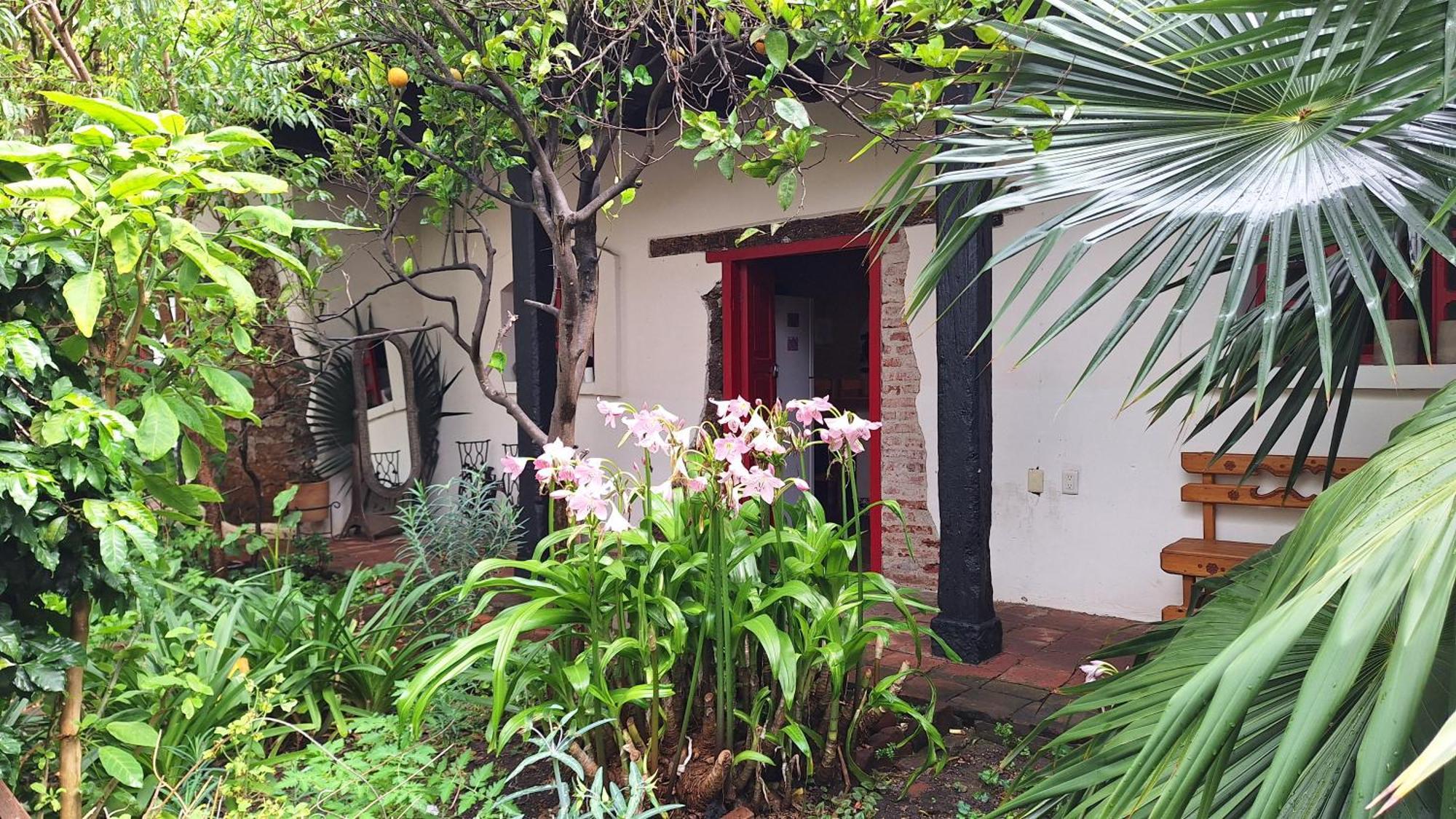 Serena Morena San Cristóbal de Las Casas Eksteriør bilde